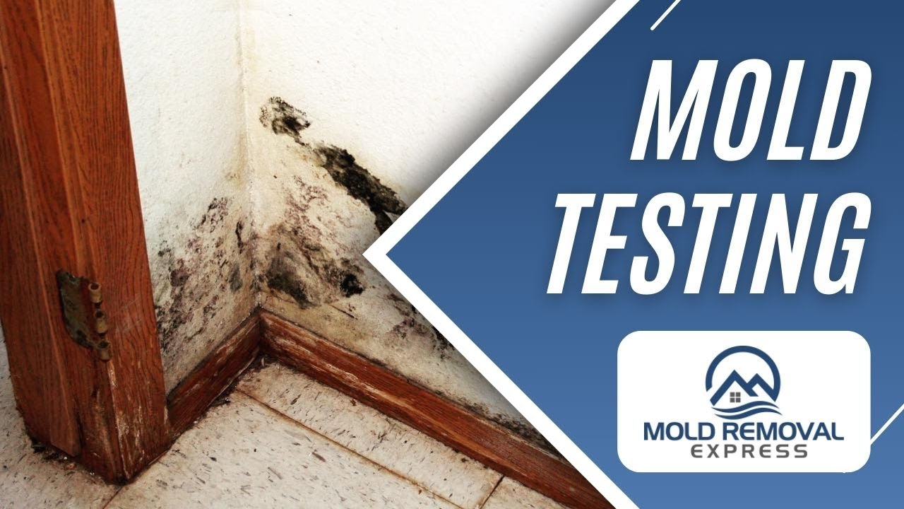 Denver Mold Testing | Mold Removal Express