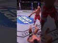 Donald Cerrone Low Kicking with Devious Intentions #mma #ufc