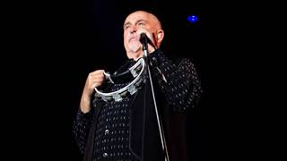 PETER GABRIEL   I have the touch