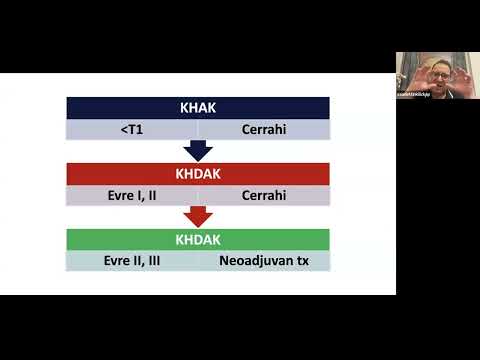 Küçük Hücreli Dışı Akciğer Kanserinde Adjuvan Tedavi