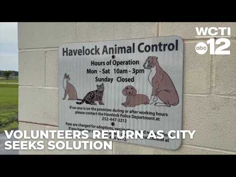 Havelock Nc Animal Adoption Process