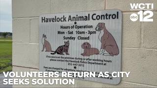 Havelock to create formal animal shelter volunteer program