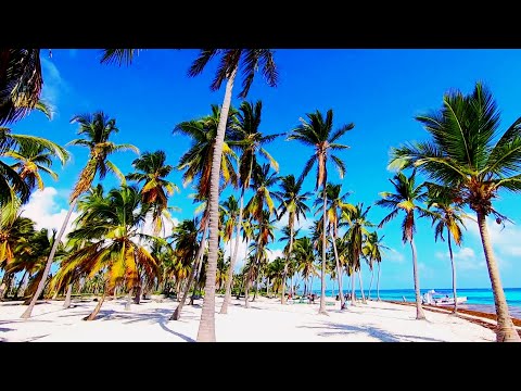 Dominikai utazásunk