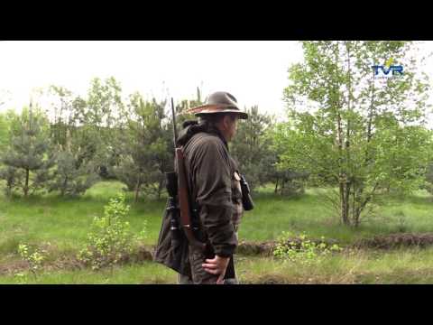 Darz Bór odc. 100 - Polowanie na Koziołka cz. 2