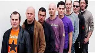 CELTAS CORTOS -  MADERA DE COLLEJA.