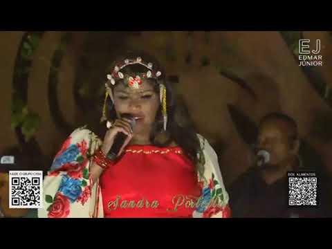 Codinome Beija-flor - Sandra Portella (Ao Vivo)