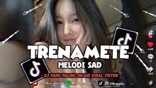 Download lagu DJ TERENAMETE V2 X MELODY SAD TERBARU YANG PALING VIRAL DI TIKTOK 🌿 mp3