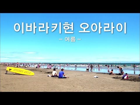 人間発達文化学類 일본 오아라이 정 PR 동영상（단편・여름）