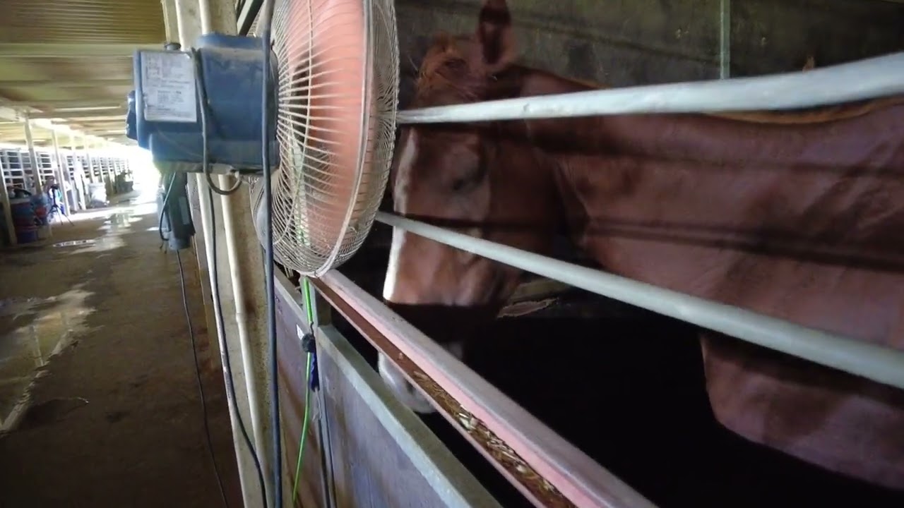 この場所が気に入ったようです。