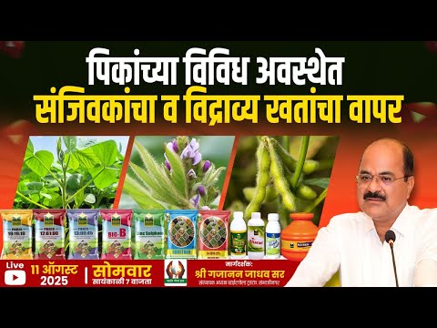  पिकांच्या विविध अवस्थेत संजिवकांचा व विद्राव्य खतांचा वापर