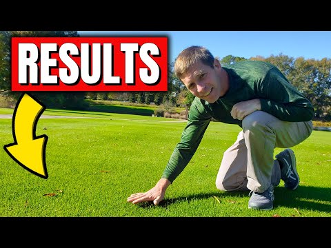 7 Tips on Overseeding a Bermuda Lawn with Ryegrass