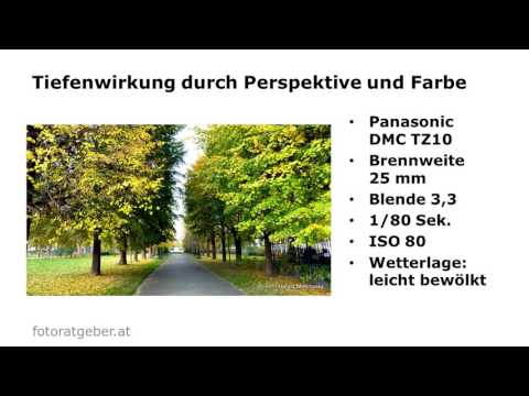 Fotografie Mizerovsky - Bildsprache, Bildanalyse