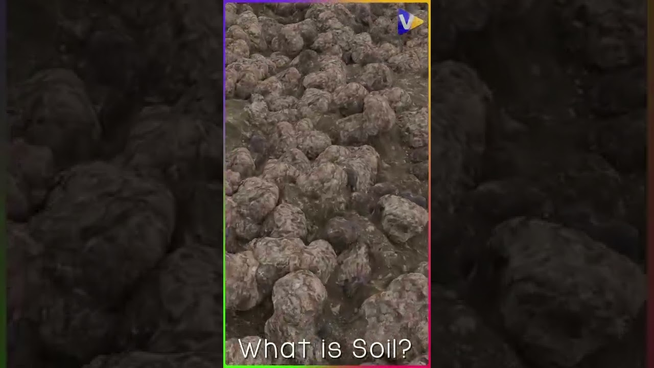 Soil and Its Types | MAJOR SOIL TYPES IN INDIA | Class 10 |