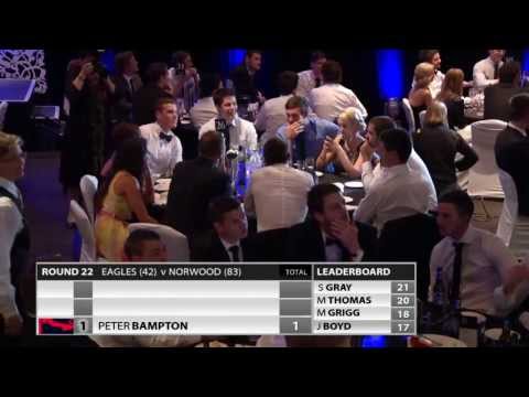 2013 Magarey Medal - Final Rounds