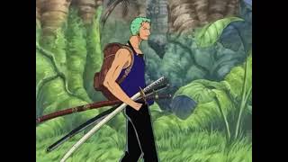 Zoro being a straight up racist