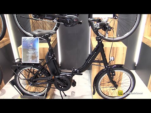 Wanderer E300 Electric Bike Walkaround Tour - 2020 Model