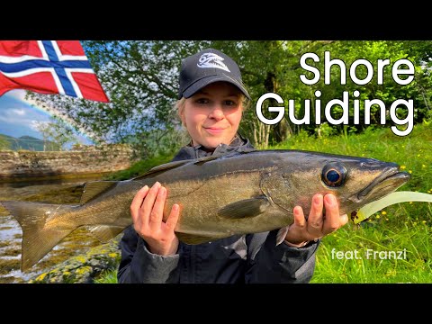 Angel-Guiding in Norwegen - vom Ufer auf Seelachs, Pollack, Makrele, Wittling feat. Franzi