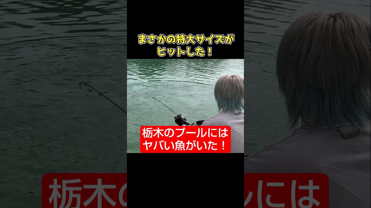 めっちゃ釣れる色を発見した！ #エリアトラウト #釣り #管理釣り場 #fishing