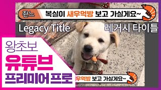 👍레거시 타이틀 / 카툰 자막 [왕초보 유튜브 프리미어 프로] Legacy title in Premiere pro 2020