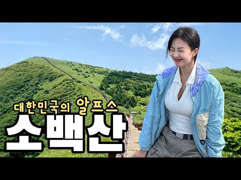 서울에서 버스로 오는 한국의 알프스 | 인스타 핫플 | 소백산 | 초보 등산 | 단양여행/산속의 백만송희