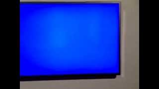 Pamela Rosenkranz at the Arsenale