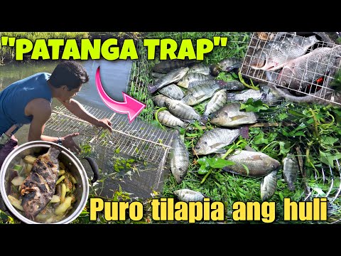 EP-391 | Hindi namin akalain na ganito karami ang mahuhuli ng aming Patanga sobrang effective