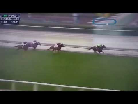 CHINA DOLL ( G STAKES) 3/10/18 - MS BAD BEHAVIOR !!