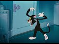 The Cat That Hated People