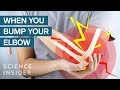 Why Your Elbow Hurts When You Bump It The Wrong Way