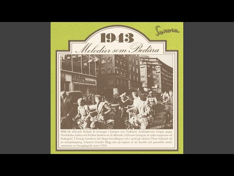 En susande brusande hambo