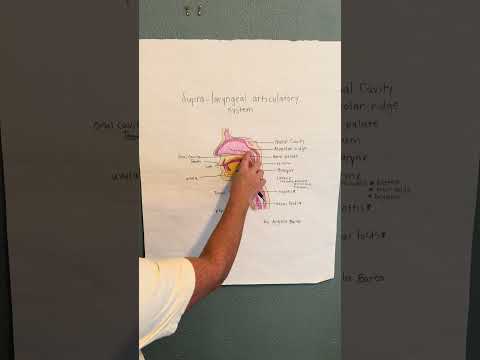 Barta, Angela EDU 518