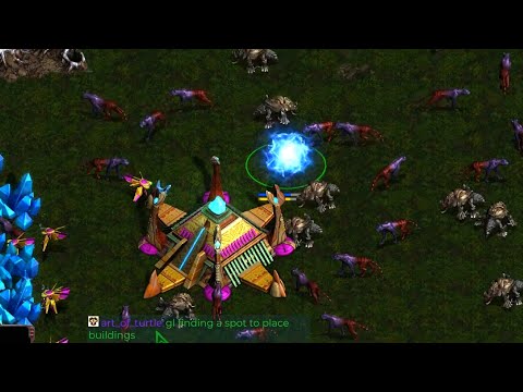 Crazy Critters! | Fun game | Starcraft Broodwar Remastered