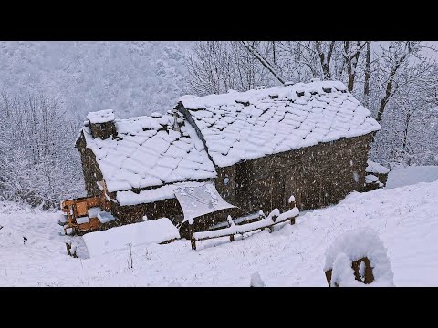 Another Year Alone in the Alps | Our Off-Grid Journey