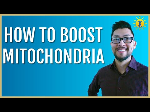 ☀️ 2 Easy Ways To Increase Your Mitochondria (2024)