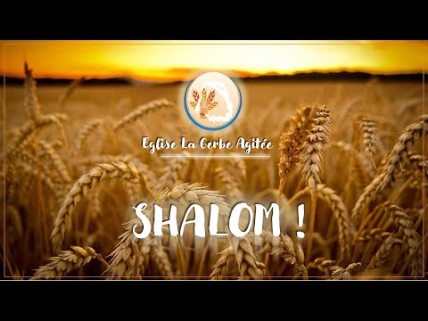 2023-0312 Justifié par la Foi basée sur le Pardon |  Fr J. Conteh