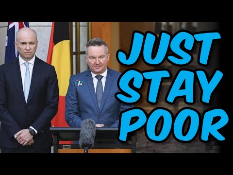 Net Zero brain cells.