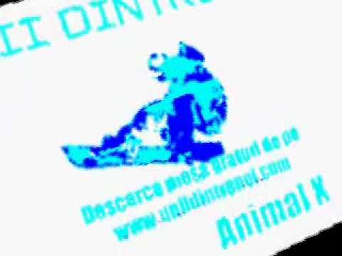 Animal X feat J. Yolo - Unii dintre noi Raneni style