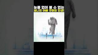 👉눈물 없이 볼 수 없는 보니의 아빠 쿠마의 인생! (원피스 최신화) #onepiece #원피스