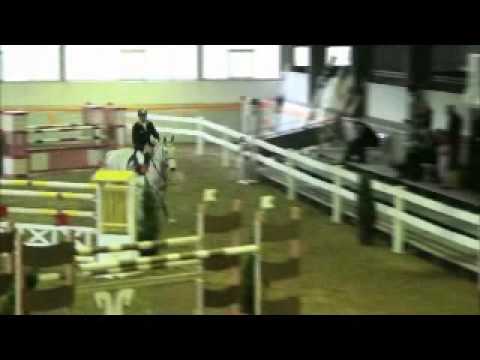 9 y old Cornet Obolensky mare, won 1 45 m