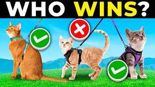 TOP 5 BEST CAT HARNESSES 2026 | Escape Proof CAT WALKING HAR