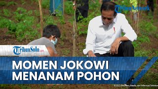 Momen Presiden Jokowi Menanam Pohon Bersama Masyarakat NTB di Kawasan Hutan Gunung Pepe