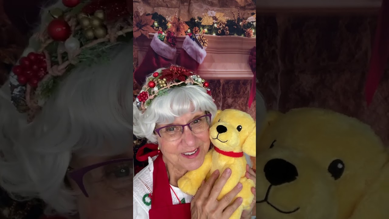 Promotional video thumbnail 4 for Mrs. Sunshine Claus Storytelling