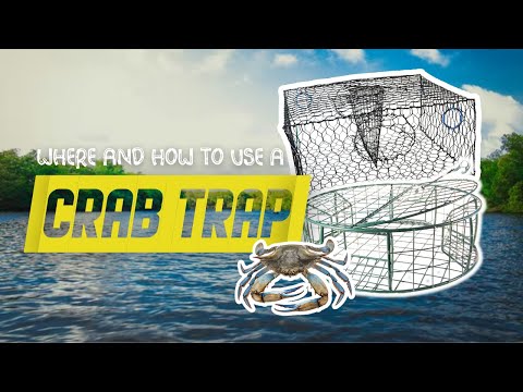 Where And How To Use Crab Trap