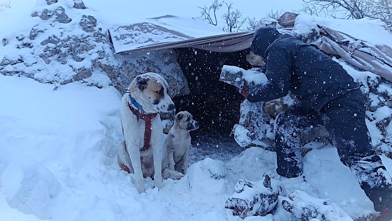 Trapped in a Snowstorm ❄️ Building a Stone Shelter to Survive the Night | No Talking (Nature ASMR)