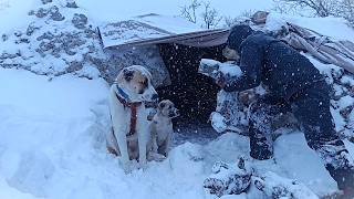 Trapped in a Snowstorm ❄️ Building a Stone Shelter to Survive the Night | No Talking (Nature ASMR) MQDEFAULT Thumbnail