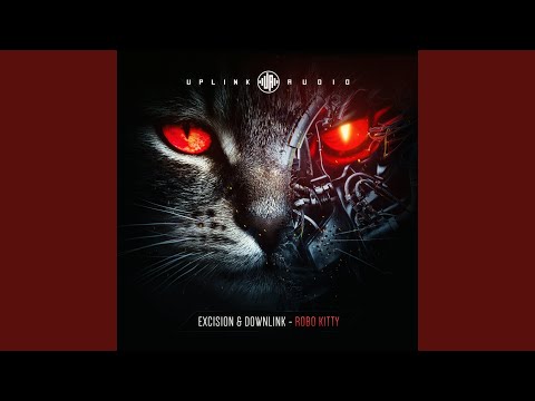 Robo Kitty (Original Mix)