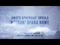 Tebello Sukwene Ofana Naye Official Lyric Video