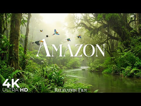 Amazon 4K • Nature Rainforest Relaxation Film with Deep Relaxing Music | 4K Ultra HD