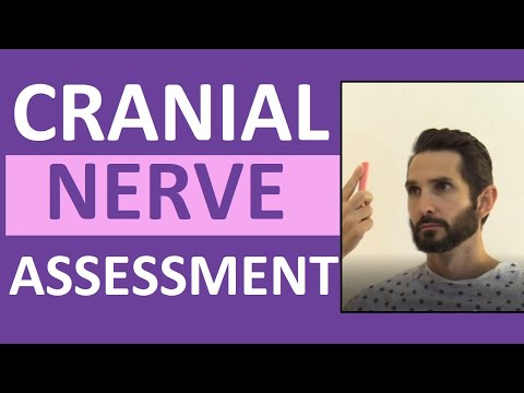 Cranial Nerve Examination Nursing | Cranial Nerve Assessment I-XII (1-12)