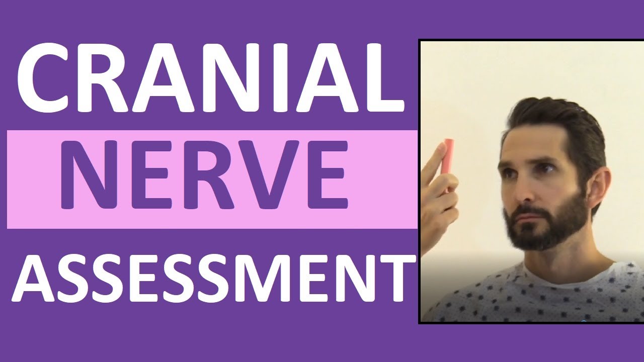 Cranial Nerve Examination Nursing | Cranial Nerve Assessment I-XII (1-12)